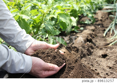 畑の土 畑の土 89613257