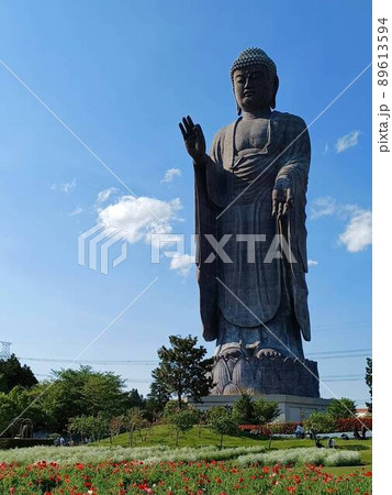 春の牛久大仏 春の牛久大仏 89613594