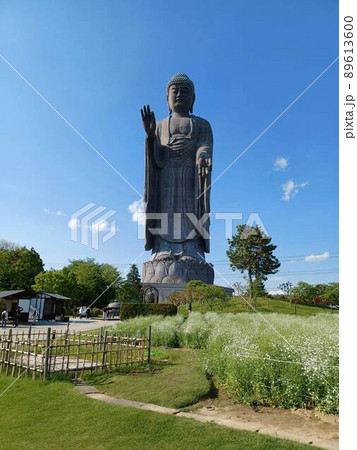 春の牛久大仏 89613600