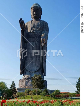 春の牛久大仏 春の牛久大仏 89613616