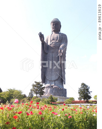 春の牛久大仏 春の牛久大仏 89613619