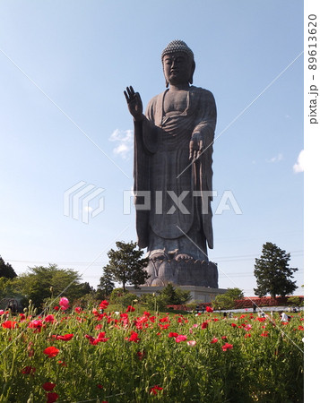 春の牛久大仏 89613620