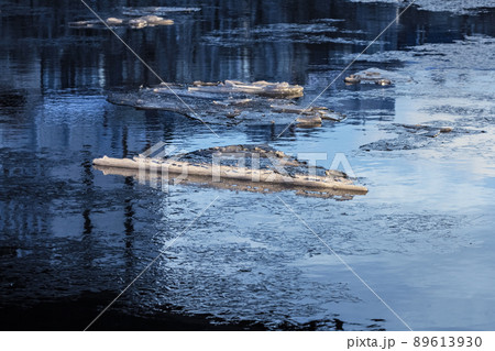 Ice floes in winter blue-blue water Ice floes in winter blue-blue water 89613930
