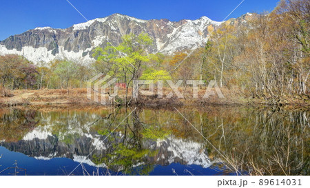 早春の秋山郷天池 早春の秋山郷天池 89614031