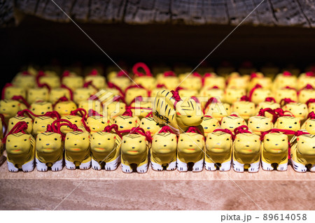 埼玉県所沢市 多聞院毘沙門堂の身代わり寅 埼玉県所沢市 多聞院毘沙門堂の身代わり寅 89614058