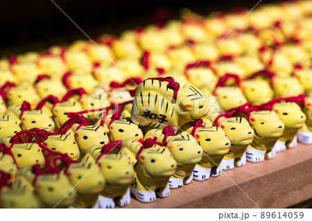 埼玉県所沢市 多聞院毘沙門堂の身代わり寅 埼玉県所沢市 多聞院毘沙門堂の身代わり寅 89614059