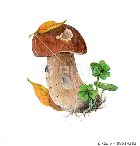 Watercolor White edible mushroom in a natural environment is isolated on white paper, for printing on postcards, stickers 89614282