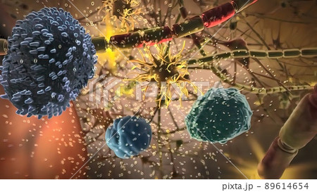 Cells in the nervous system Cells in the nervous system 89614654