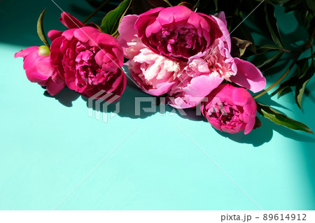 Pink peonies and leaves with hard shadow on pastel background. Trendy pattern, summer concept. Pink peonies and leaves with hard shadow on pastel background. Trendy pattern, summer concept. 89614912