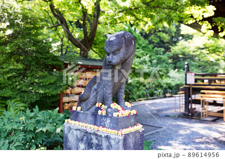 埼玉県所沢市 多聞院毘沙門堂 狛虎と身代わり虎 埼玉県所沢市 多聞院毘沙門堂 狛虎と身代わり虎 89614956