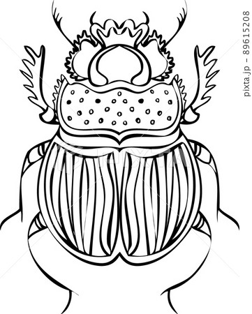 Beetle line vector illustrations. Hand drawing style 89615208
