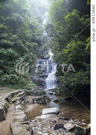 夏の常清滝 夏の常清滝 89615680
