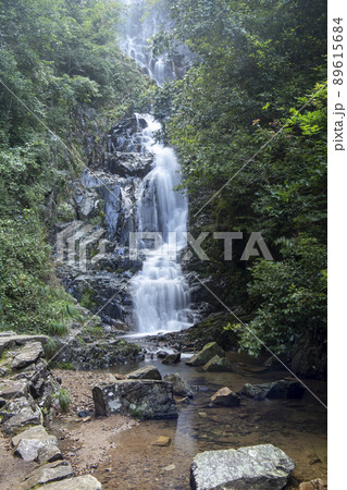 新緑の常清滝 新緑の常清滝 89615684