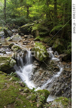 涼しげな景色 89615977