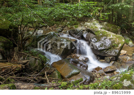 日本の清流 89615999
