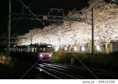 新京成線くぬぎ山駅付近の桜並木ライトアップ　千葉県鎌ケ谷市くぬぎ山 89616386