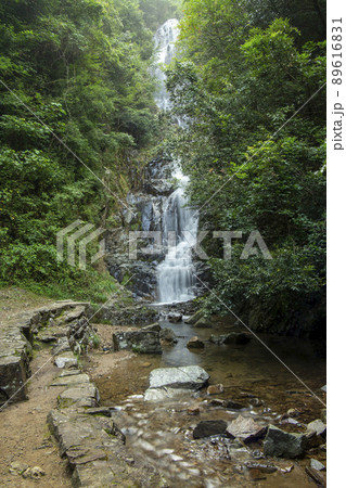 広島県名勝常清滝 広島県名勝常清滝 89616831