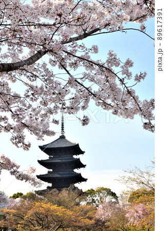 真言宗総本山　教王護国寺　東寺(五重塔)    【京都府京都市南区九条町】 89617391