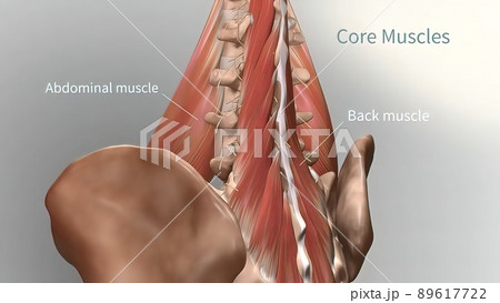 Chronic Low Back Pain. showing pain in the lower back 89617722