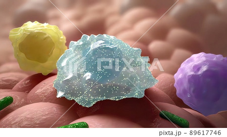 Cells immune that fight the virus 89617746