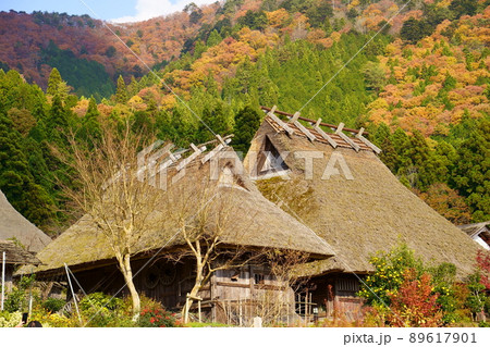 萱葺き屋根の家屋と紅葉／美山かやぶきの里（京都府南丹市） 89617901