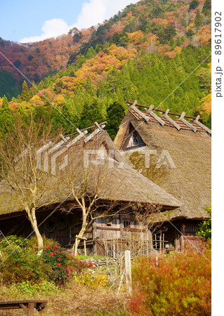 萱葺き屋根の家屋と紅葉/美山かやぶきの里(京都府南丹市) 萱葺き屋根の家屋と紅葉/美山かやぶきの里(京都府南丹市) 89617902