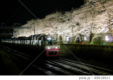 新京成線くぬぎ山駅付近の桜並木ライトアップ 千葉県鎌ケ谷市くぬぎ山 新京成線くぬぎ山駅付近の桜並木ライトアップ 千葉県鎌ケ谷市くぬぎ山 89618021