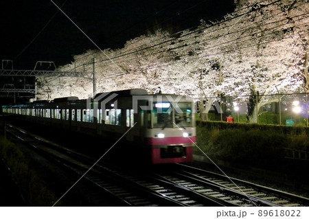 新京成線くぬぎ山駅付近の桜並木ライトアップ　千葉県鎌ケ谷市くぬぎ山 89618022