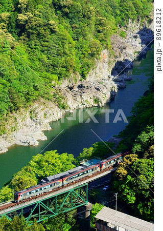 小歩危峡を走る2700系・特急南風 89618212