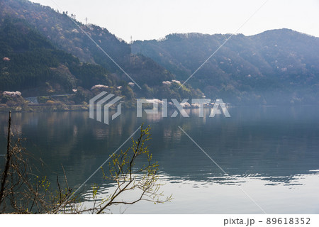 《滋賀県》長浜市 琵琶湖 《滋賀県》長浜市 琵琶湖 89618352