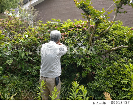 ガーデニング 89618457
