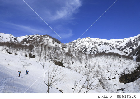 白銀の白馬岳 美しい雪山 白銀の白馬岳 美しい雪山 89618520