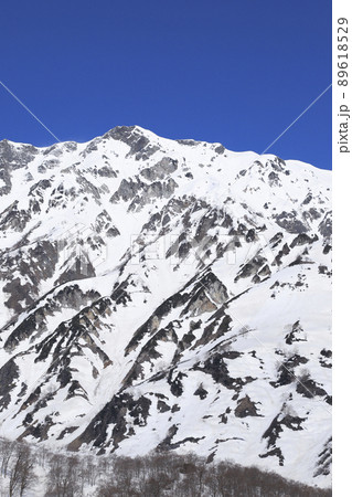 白銀の白馬岳　美しい雪山 89618529