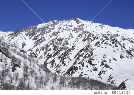 白銀の白馬岳　美しい雪山 89618530