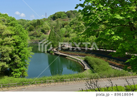 ぎふワールド・ローズガーデンの園内と池 89618694