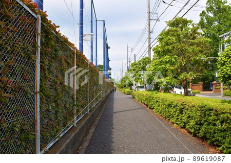 晴れた日の通学路　東京 89619087