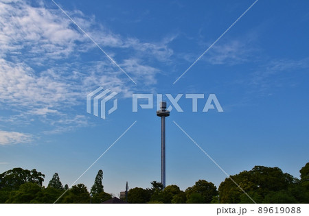 春の夕方の多摩湖周辺 東京 春の夕方の多摩湖周辺 東京 89619088