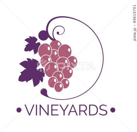 Vineyards, branch with grapes for wine making 89619701