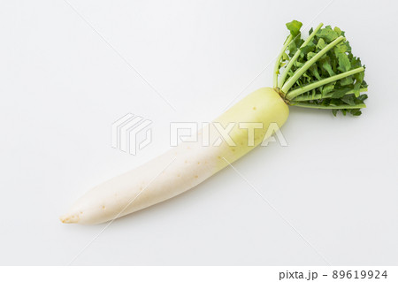 大根 大根 89619924