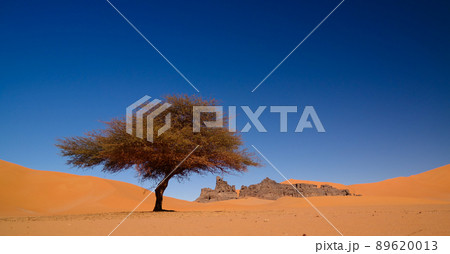 Landscape of Sand dune and sandstone nature sculpture at Tamezguida in Tassili nAjjer national park, Algeria Landscape of Sand dune and sandstone nature sculpture at Tamezguida in Tassili nAjjer national park, Algeria 89620013