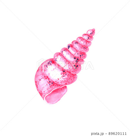 Watercolor shell on a white background 89620111