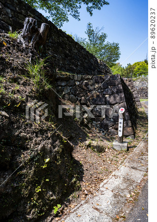 洲本城跡 89620237