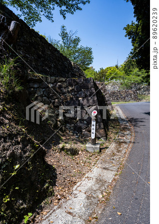 洲本城跡 89620239