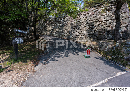 洲本城跡 89620247