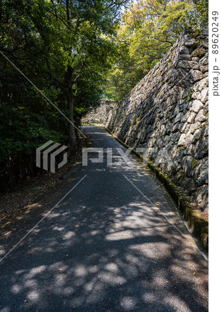 洲本城跡 89620249