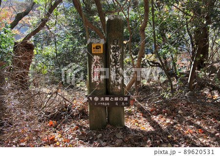 六甲山登山道 太陽と緑の道(魚屋道)の六甲最高峰と有馬温泉を示す行先案内板 六甲山登山道 太陽と緑の道(魚屋道)の六甲最高峰と有馬温泉を示す行先案内板 89620531