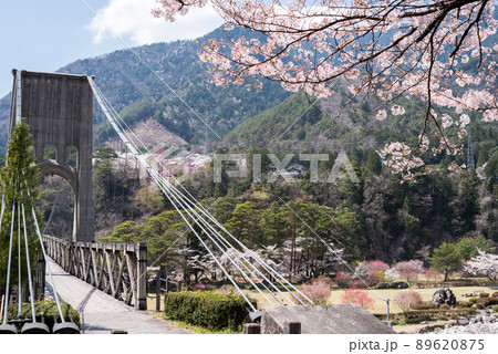【桃介橋】桜と桃介橋 【桃介橋】桜と桃介橋 89620875