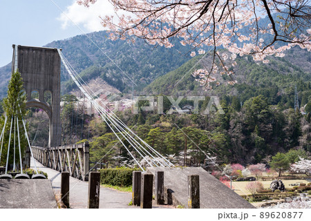 【桃介橋】桜と桃介橋 【桃介橋】桜と桃介橋 89620877