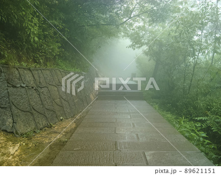 中国 張家界 武陵源風景区 黄石寨 Huangshizhai, Zhangjiajie, China 89621151