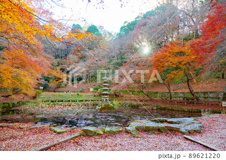 大阪府河内長野市延命寺の紅葉（すいれん池） 89621220